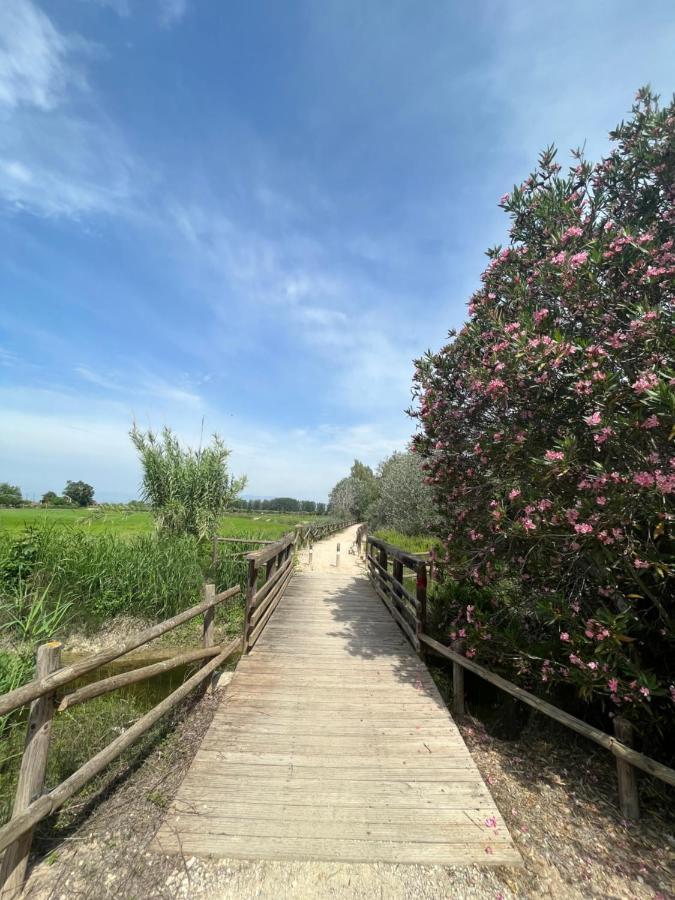 El Secreto Del Descanso Del Ebro Sant Jaume d'Enveja Exterior photo